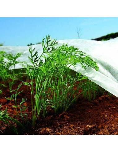 Tela de protección para cultivos-bobina 2 x 20 m 17gr/m²