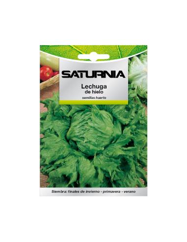 Semillas Lechuga Reina Del Hielo (7 gramos) Semillas Verduras, Horticultura, Horticola, Semillas Huerto.
