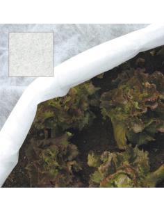 Malla Protectora Para Plantas (1,5x5 metros) - Imagen 1