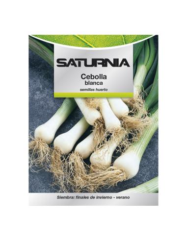 Semillas Cebolla Blanca (4 gramos) Semillas Verduras, Horticultura, Horticola, Semillas Huerto. - Imagen 1