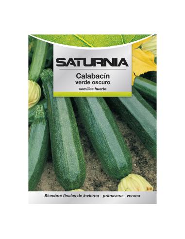 Semillas Calabacin Verde Oscuro (5 gramos) Semillas Verduras, Horticultura, Horticola, Semillas Huerto. - Imagen 1