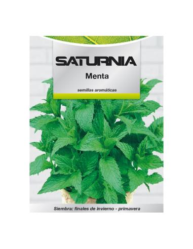Semillas Aromaticas Menta (0.3 gramos) Horticultura, Horticola, Semillas Huerto. - Imagen 1