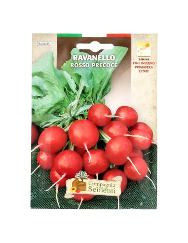 Semillas Rabano Rojo Temprano (8 gramos) Semillas Verduras, Horticultura, Horticola, Semillas Huerto.