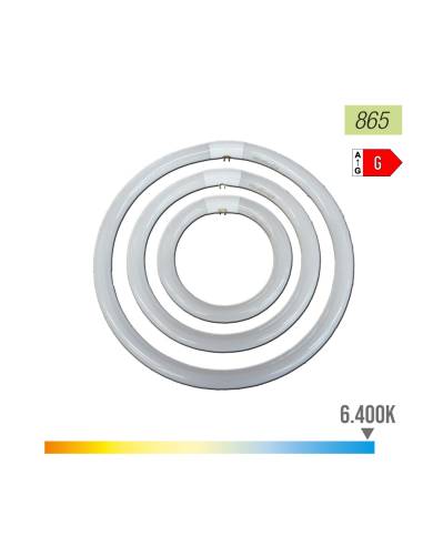 Tubo fluorescente circular 40w ø40cm trifosforo 865k luz fria philips