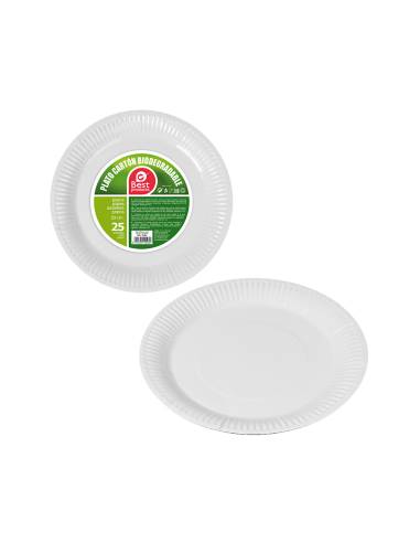 Pack 25un prato branco papelão 23cm best products green