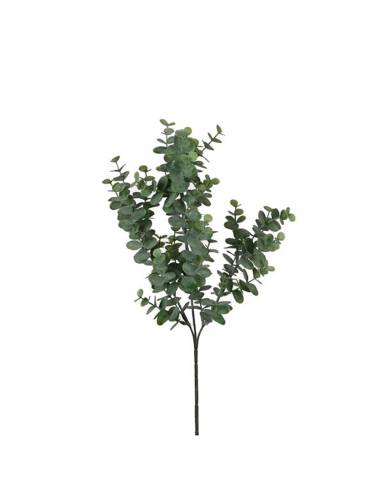 Eucalipto verde cor 65 cm
