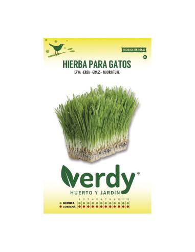 Sobre de semillas de hierba para gatos verdy