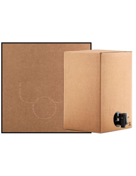 CAJA BAG IN BOX 15 LTS