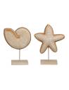 Figuras decoración concha-estrella mar modelos surtidos