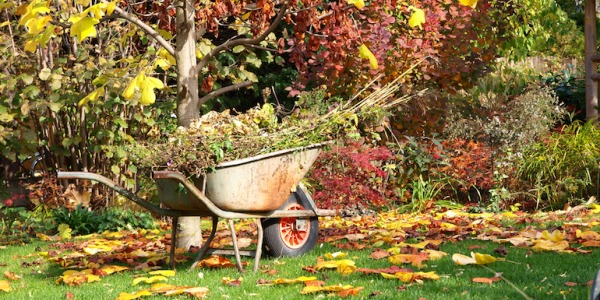 Cuidados del jardín en otoño