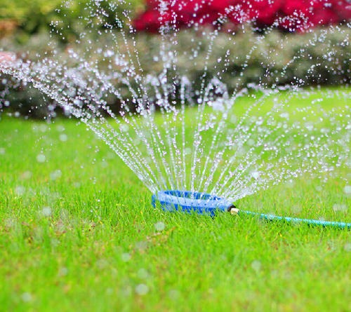 ¿Cómo elegir e instalar los mejores sistemas de riego para tu jardín?