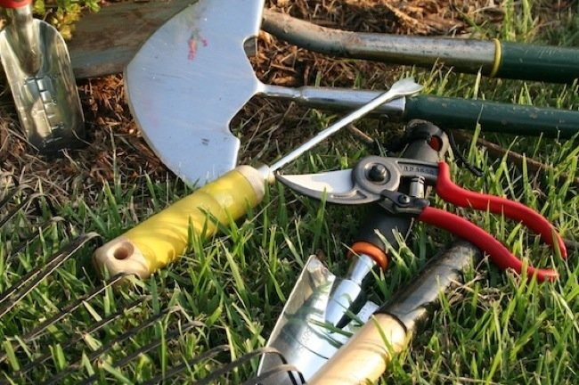 Cuida tu jardín: ¿Qué herramientas de jardinería necesitas?